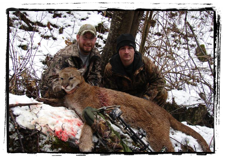 MTN. Lion Guided Hunting Trips in Idaho | Ace Outfitters